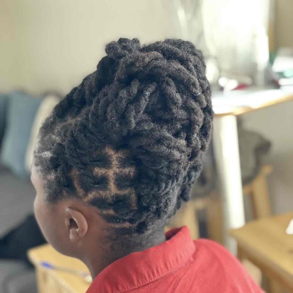 salon de coiffure afro tresse tresses box braids crochet braids vanilles tissages paris 75 77 78 91 92 93 94 95 HEVNSZVK