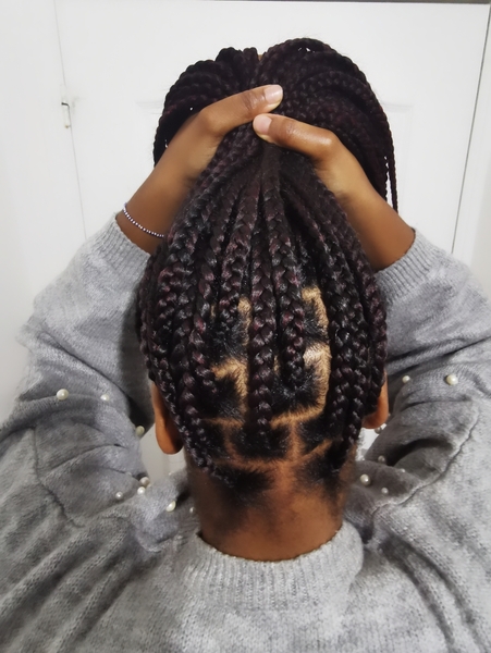 salon de coiffure afro tresse tresses box braids crochet braids vanilles tissages paris 75 77 78 91 92 93 94 95 ENMHNNXA