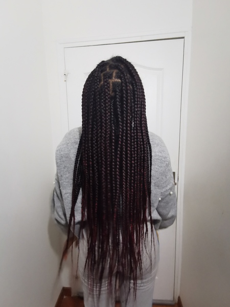 salon de coiffure afro tresse tresses box braids crochet braids vanilles tissages paris 75 77 78 91 92 93 94 95 FFPPNLAI