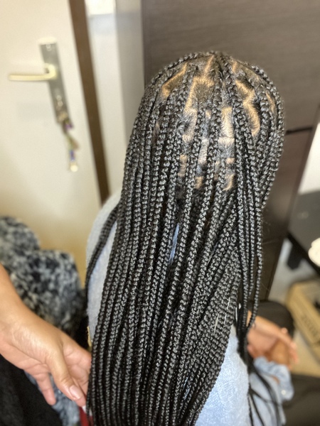 salon de coiffure afro tresse tresses box braids crochet braids vanilles tissages paris 75 77 78 91 92 93 94 95 ENEILDJO