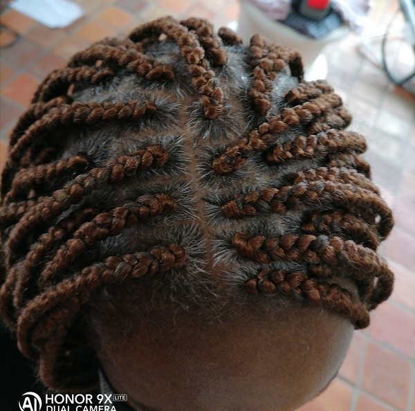 salon de coiffure afro tresse tresses box braids crochet braids vanilles tissages paris 75 77 78 91 92 93 94 95 ECYCTLXI