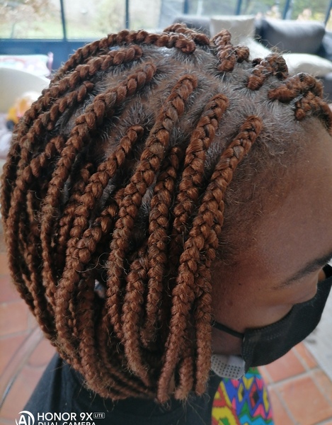 salon de coiffure afro tresse tresses box braids crochet braids vanilles tissages paris 75 77 78 91 92 93 94 95 ESPGHLUJ