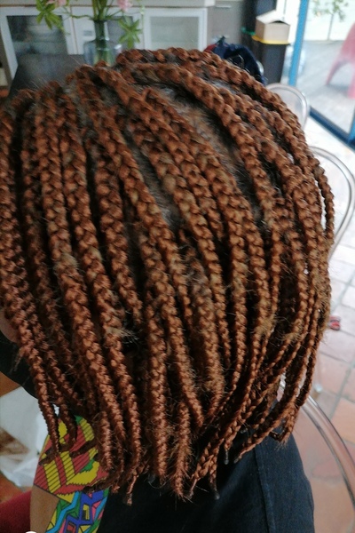 salon de coiffure afro tresse tresses box braids crochet braids vanilles tissages paris 75 77 78 91 92 93 94 95 ARTVOXOY