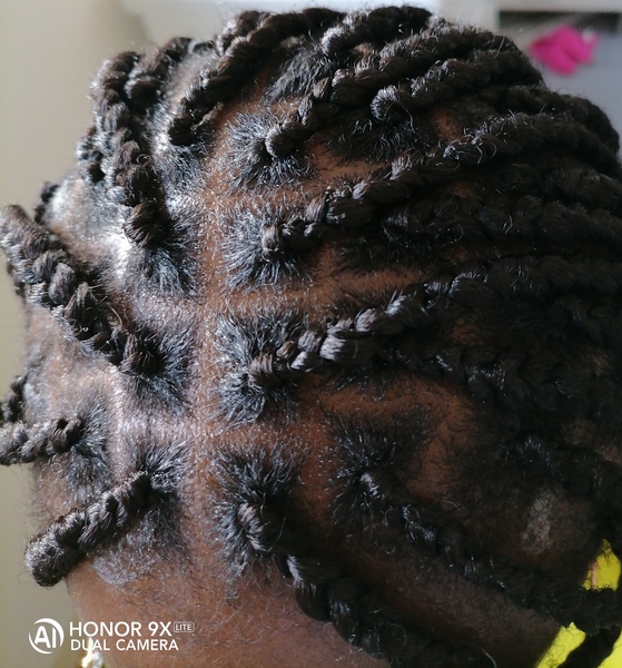 salon de coiffure afro tresse tresses box braids crochet braids vanilles tissages paris 75 77 78 91 92 93 94 95 BELJMADJ