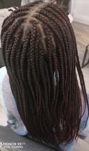 salon de coiffure afro tresse tresses box braids crochet braids vanilles tissages paris 75 77 78 91 92 93 94 95 PNKOCLUU