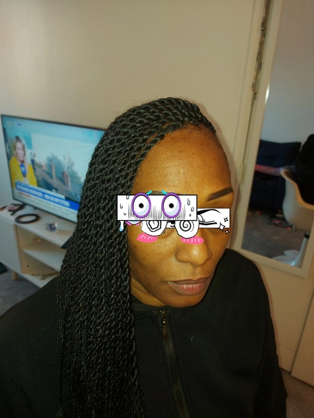 salon de coiffure afro tresse tresses box braids crochet braids vanilles tissages paris 75 77 78 91 92 93 94 95 VMQNFNUV