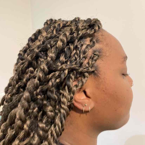 salon de coiffure afro tresse tresses box braids crochet braids vanilles tissages paris 75 77 78 91 92 93 94 95 EFTWFXVS