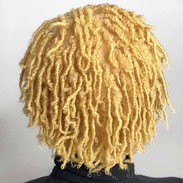 salon de coiffure afro tresse tresses box braids crochet braids vanilles tissages paris 75 77 78 91 92 93 94 95 LNTMUXPM