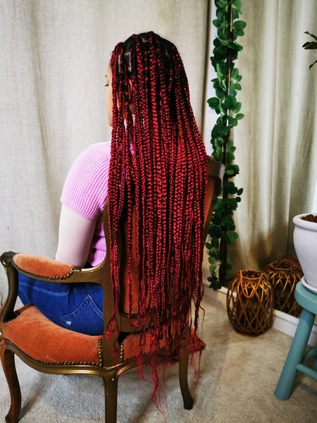 salon de coiffure afro tresse tresses box braids crochet braids vanilles tissages paris 75 77 78 91 92 93 94 95 NSDJFTKT