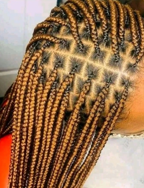 salon de coiffure afro tresse tresses box braids crochet braids vanilles tissages paris 75 77 78 91 92 93 94 95 OZPLAXDI