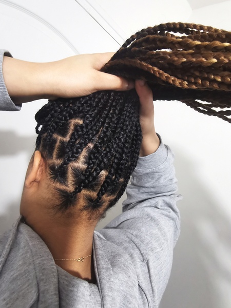 salon de coiffure afro tresse tresses box braids crochet braids vanilles tissages paris 75 77 78 91 92 93 94 95 EDNJQTHI