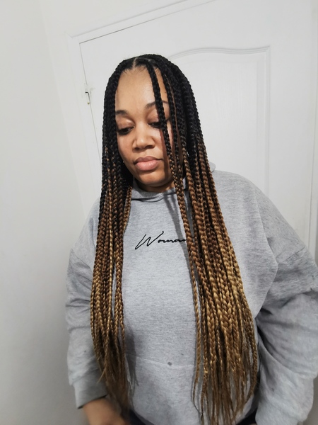 salon de coiffure afro tresse tresses box braids crochet braids vanilles tissages paris 75 77 78 91 92 93 94 95 DSJBJKLP