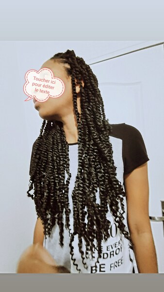 salon de coiffure afro tresse tresses box braids crochet braids vanilles tissages paris 75 77 78 91 92 93 94 95 JXRSMCLL