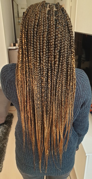salon de coiffure afro tresse tresses box braids crochet braids vanilles tissages paris 75 77 78 91 92 93 94 95 WAQKVKIU