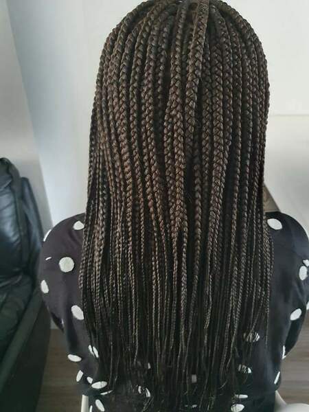 salon de coiffure afro tresse tresses box braids crochet braids vanilles tissages paris 75 77 78 91 92 93 94 95 OTRMBJMV