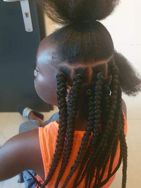 salon de coiffure afro tresse tresses box braids crochet braids vanilles tissages paris 75 77 78 91 92 93 94 95 EOSNZTAD