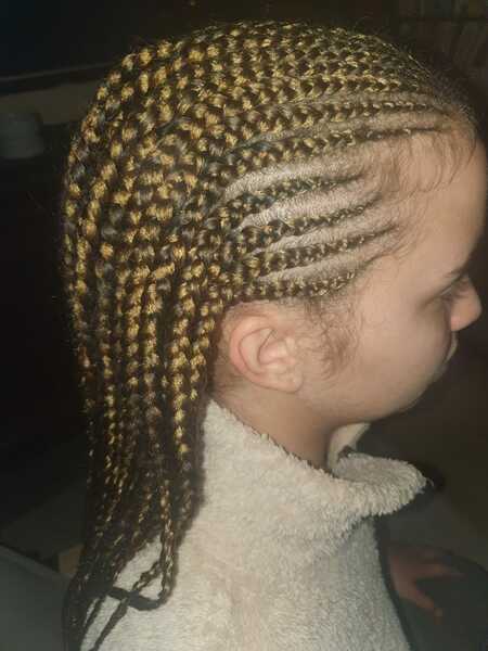 salon de coiffure afro tresse tresses box braids crochet braids vanilles tissages paris 75 77 78 91 92 93 94 95 WSEGRNHK