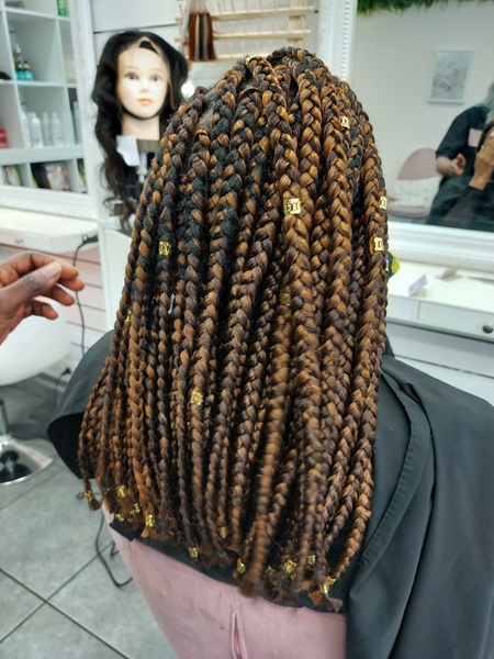 salon de coiffure afro tresse tresses box braids crochet braids vanilles tissages paris 75 77 78 91 92 93 94 95 OOMHXXNF
