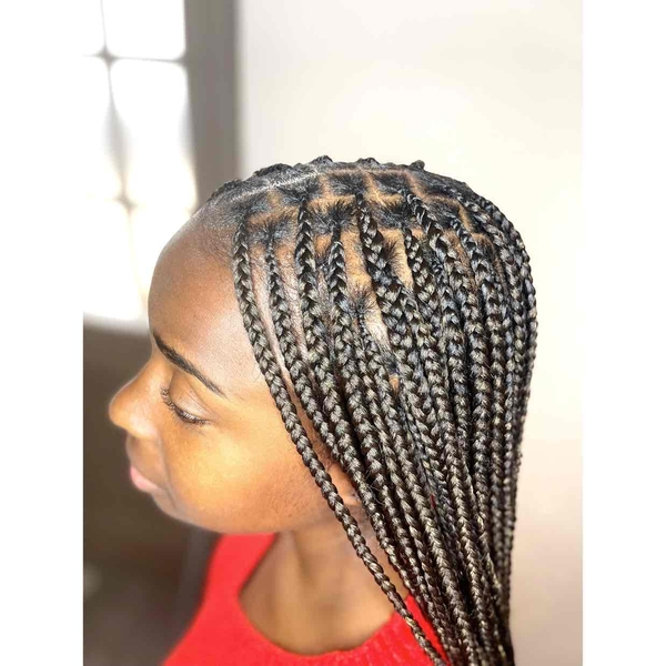 salon de coiffure afro tresse tresses box braids crochet braids vanilles tissages paris 75 77 78 91 92 93 94 95 ZEAWGHEG