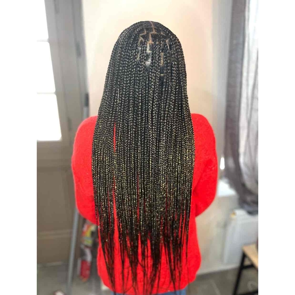 salon de coiffure afro tresse tresses box braids crochet braids vanilles tissages paris 75 77 78 91 92 93 94 95 IRCQMFGO