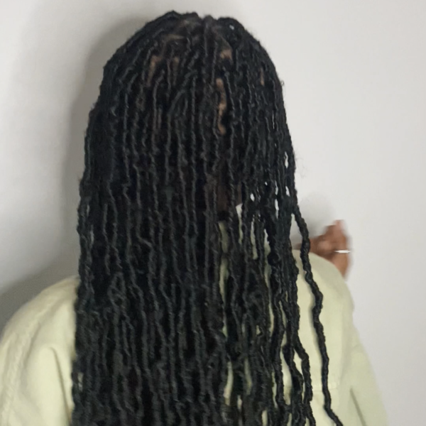 salon de coiffure afro tresse tresses box braids crochet braids vanilles tissages paris 75 77 78 91 92 93 94 95 BXVJHRHF
