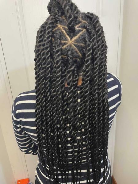 salon de coiffure afro tresse tresses box braids crochet braids vanilles tissages paris 75 77 78 91 92 93 94 95 QLMLLBEH