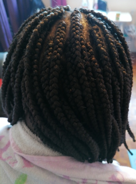 salon de coiffure afro tresse tresses box braids crochet braids vanilles tissages paris 75 77 78 91 92 93 94 95 ZDJUITJO