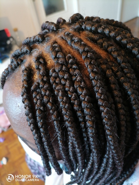 salon de coiffure afro tresse tresses box braids crochet braids vanilles tissages paris 75 77 78 91 92 93 94 95 FRNKNDGS