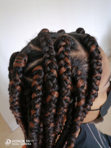 salon de coiffure afro tresse tresses box braids crochet braids vanilles tissages paris 75 77 78 91 92 93 94 95 RRHVTSQE