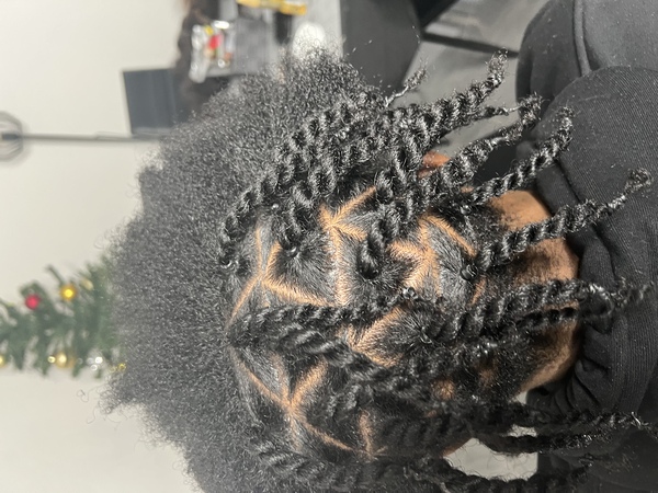 salon de coiffure afro tresse tresses box braids crochet braids vanilles tissages paris 75 77 78 91 92 93 94 95 VKQUULYL