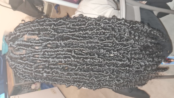 salon de coiffure afro tresse tresses box braids crochet braids vanilles tissages paris 75 77 78 91 92 93 94 95 AXJSQNND