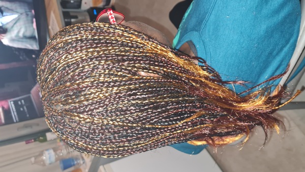 salon de coiffure afro tresse tresses box braids crochet braids vanilles tissages paris 75 77 78 91 92 93 94 95 BIXKRWRB