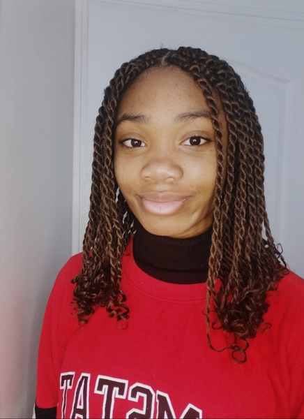salon de coiffure afro tresse tresses box braids crochet braids vanilles tissages paris 75 77 78 91 92 93 94 95 UNMWIUEM