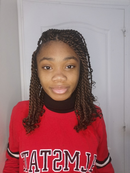 salon de coiffure afro tresse tresses box braids crochet braids vanilles tissages paris 75 77 78 91 92 93 94 95 FZVWORDQ
