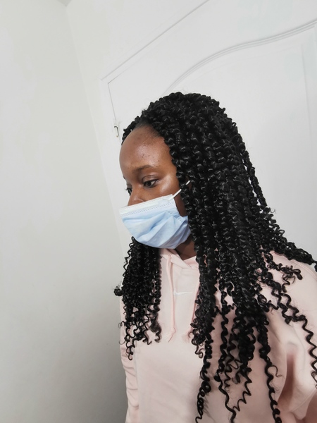 salon de coiffure afro tresse tresses box braids crochet braids vanilles tissages paris 75 77 78 91 92 93 94 95 LDCSQYYO