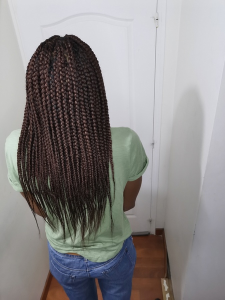 salon de coiffure afro tresse tresses box braids crochet braids vanilles tissages paris 75 77 78 91 92 93 94 95 SUNJLKEG
