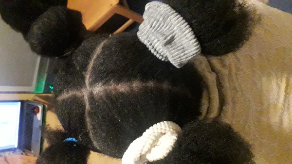salon de coiffure afro tresse tresses box braids crochet braids vanilles tissages paris 75 77 78 91 92 93 94 95 AJVHRCDS