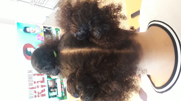 salon de coiffure afro tresse tresses box braids crochet braids vanilles tissages paris 75 77 78 91 92 93 94 95 CHUPBDSQ