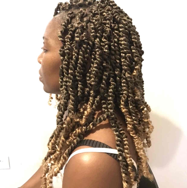 salon de coiffure afro tresse tresses box braids crochet braids vanilles tissages paris 75 77 78 91 92 93 94 95 TFSKTOCX
