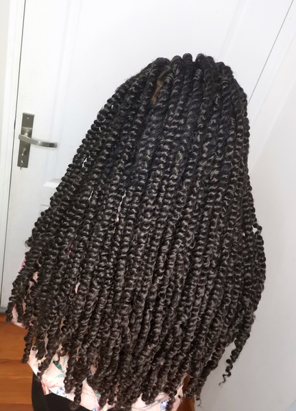 salon de coiffure afro tresse tresses box braids crochet braids vanilles tissages paris 75 77 78 91 92 93 94 95 CBGLXQDM