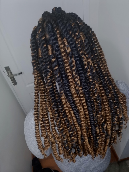 salon de coiffure afro tresse tresses box braids crochet braids vanilles tissages paris 75 77 78 91 92 93 94 95 ZOBZPIPJ