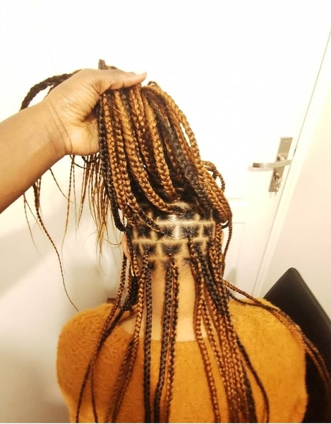 salon de coiffure afro tresse tresses box braids crochet braids vanilles tissages paris 75 77 78 91 92 93 94 95 MSBHZQCD
