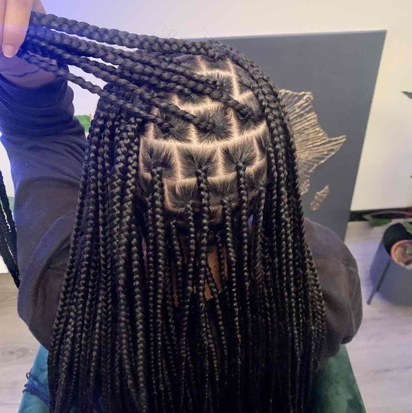salon de coiffure afro tresse tresses box braids crochet braids vanilles tissages paris 75 77 78 91 92 93 94 95 ELVRILMQ