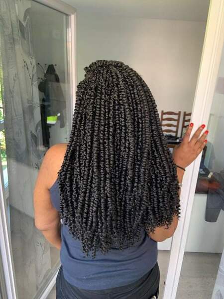 salon de coiffure afro tresse tresses box braids crochet braids vanilles tissages paris 75 77 78 91 92 93 94 95 JIUGDVES