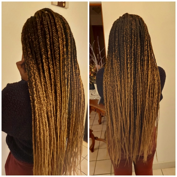 salon de coiffure afro tresse tresses box braids crochet braids vanilles tissages paris 75 77 78 91 92 93 94 95 SWDKUNYZ