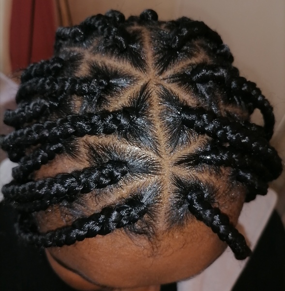 salon de coiffure afro tresse tresses box braids crochet braids vanilles tissages paris 75 77 78 91 92 93 94 95 PEXEKAWC