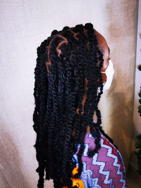 salon de coiffure afro tresse tresses box braids crochet braids vanilles tissages paris 75 77 78 91 92 93 94 95 FYVSAYEL