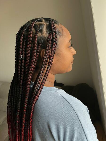 salon de coiffure afro tresse tresses box braids crochet braids vanilles tissages paris 75 77 78 91 92 93 94 95 DCEJQBXV