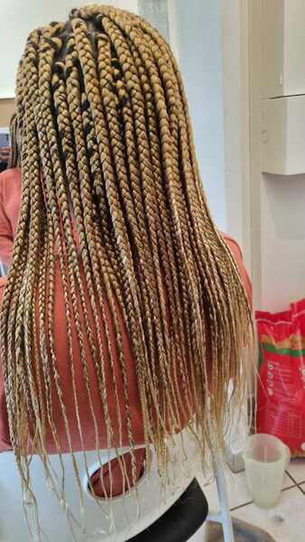 salon de coiffure afro tresse tresses box braids crochet braids vanilles tissages paris 75 77 78 91 92 93 94 95 ANMHVARD