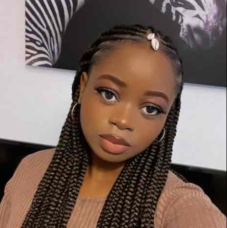 salon de coiffure afro tresse tresses box braids crochet braids vanilles tissages paris 75 77 78 91 92 93 94 95 IICTUNKO